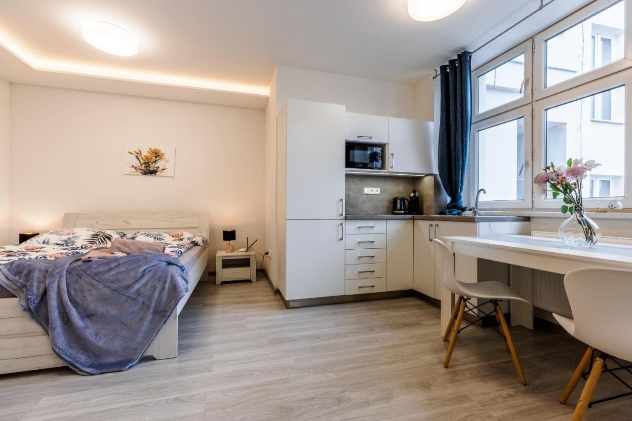 Apartment Apartia Skorepka, Brno-centrum *